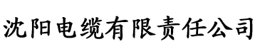 开奖历史记录查询电缆厂logo